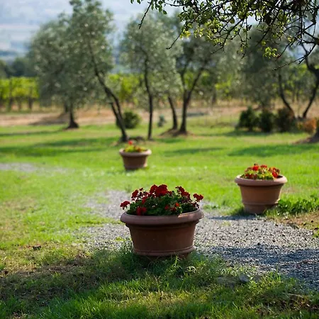 Apartman Casa Elisabetta