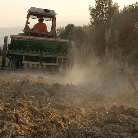 Casa Elisabetta * Limite