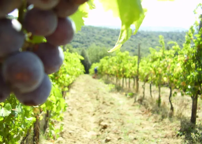 Апартаменты Casa Elisabetta *