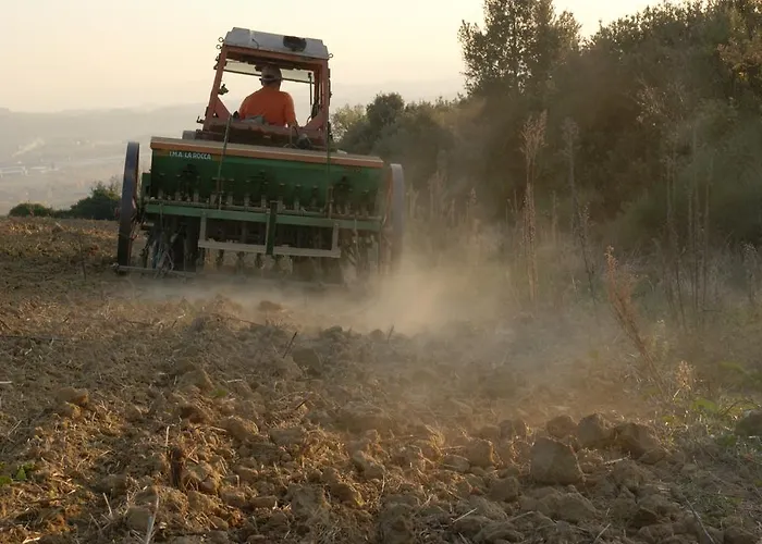 Casa Elisabetta * Limite