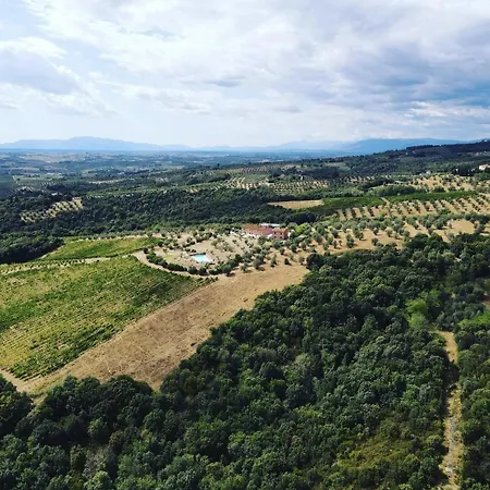 Casa Elisabetta Apartament Limite